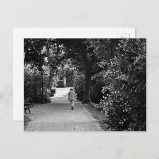 Zwarte en witte foto van oud man in het park briefkaart (Voorkant / Achterkant)