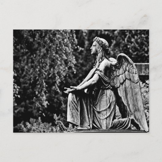 Zwarte en witte fotografie knielengel briefkaart (Voorkant)