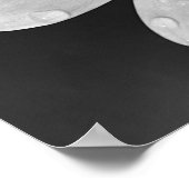 Zwarte en witte fotografie van de Afrikaanse Daisy Poster (Hoek)