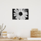 Zwarte en witte fotografie van de Afrikaanse Daisy Poster (Keuken)
