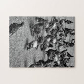 Zwarte en witte fotografie van vele duiven legpuzzel (Horizontaal)