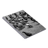 Zwarte en witte fotografie van vele duiven notitieboek (Rechterzijde)