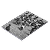 Zwarte en witte fotografie van vele duiven notitieboek (Linkerzijde)