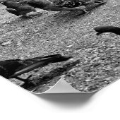 Zwarte en witte fotografie van vele duiven poster (Hoek)