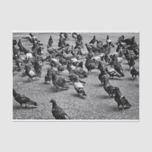 Zwarte en witte fotografie van vele duiven tissuepapier