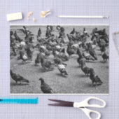 Zwarte en witte fotografie van vele duiven tissuepapier (Craft)