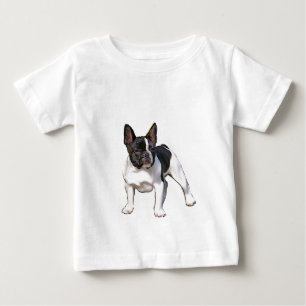 ZWARTE EN WITTE FRANSE BULLDOG