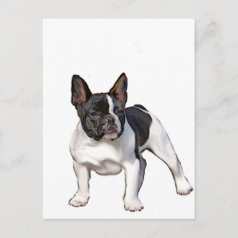 ZWARTE EN WITTE FRANSE BULLDOG BRIEFKAART