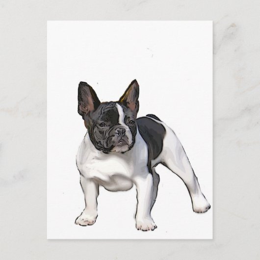 ZWARTE EN WITTE FRANSE BULLDOG BRIEFKAART (Voorkant)