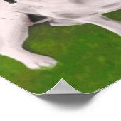 Zwarte en witte Franse hond op gras - Schilven Poster (Hoek)