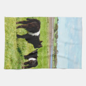 zwarte en witte galloway kalveren, theedoek (Horizontaal)