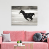 Zwarte en witte galoping canvas afdruk (Insitu (Woonkamer))