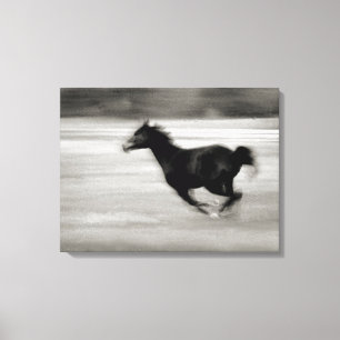 Zwarte en witte galoping canvas afdruk