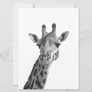 Zwarte en witte Giraffe
