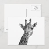 Zwarte en witte Giraffe Briefkaart (Voorkant / Achterkant)