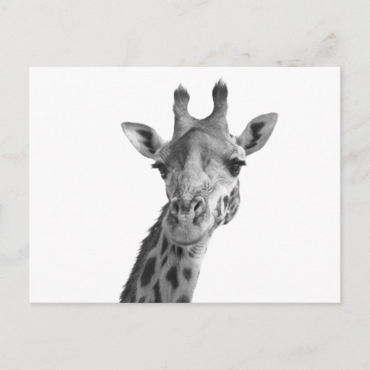 Zwarte en witte Giraffe Briefkaart (Voorkant)