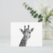 Zwarte en witte Giraffe Briefkaart (Staand voorkant)