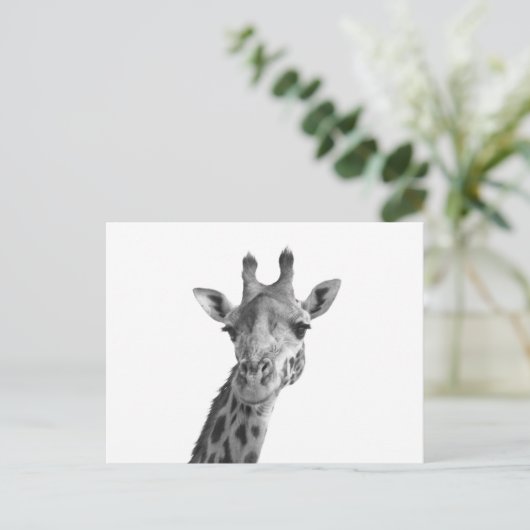 Zwarte en witte Giraffe Briefkaart (Staand voorkant)