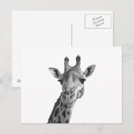Zwarte en witte Giraffe Briefkaart (Voorkant / Achterkant)