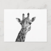 Zwarte en witte Giraffe Briefkaart (Voorkant)
