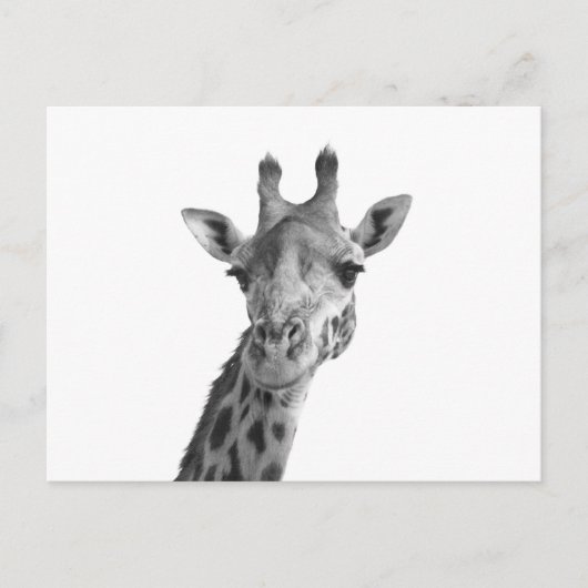 Zwarte en witte Giraffe Briefkaart (Voorkant)