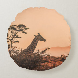 ZWARTE EN WITTE GIRAFFE OP GEBIED VAN BROWN GRAS ROND KUSSEN