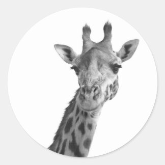 Zwarte en witte Giraffe Ronde Sticker