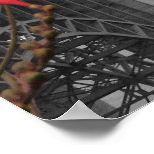 Zwarte en witte Golden Gate Bridge Poster (Hoek)