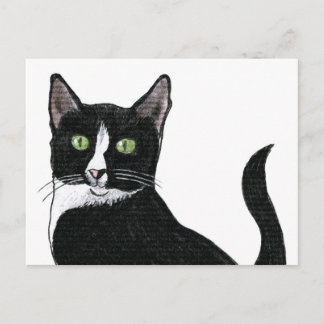Zwarte en witte groene oogkat briefkaart
