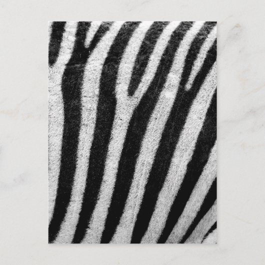 Zwarte en witte haarstrepen briefkaart (Voorkant)