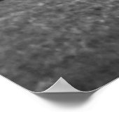 Zwarte en witte herder van 1968 poster (Hoek)