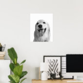 Zwarte en witte hondenhuisdier pekaboe foto poster (Thuiskantoor)