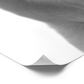 Zwarte en witte hondenhuisdier pekaboe foto poster (Hoek)