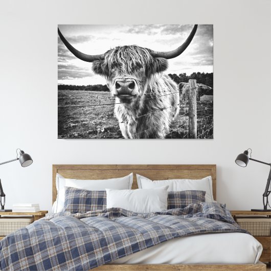 Zwarte en Witte Hoogland Koe Canvas Afdruk (Insitu (Slaapkamer))