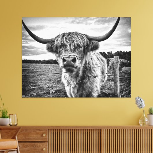 Zwarte en Witte Hoogland Koe Canvas Afdruk (Insitu (Woonkamer))