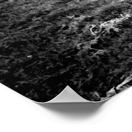 Zwarte en Witte Hoogland Koe Poster (Hoek)