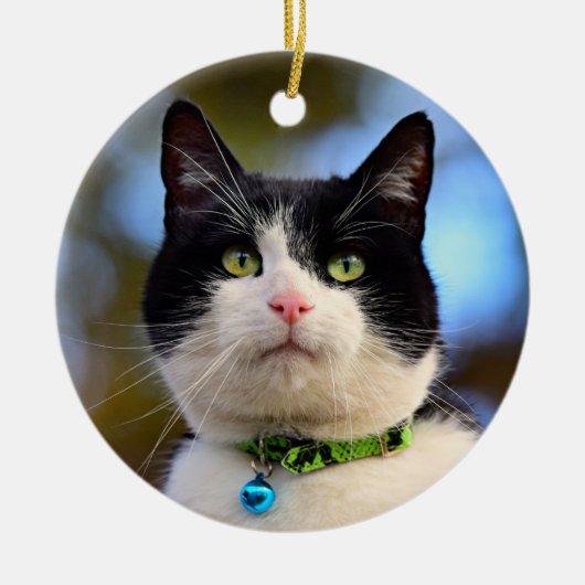 Zwarte en witte horthair kat keramisch ornament (Voorkant)