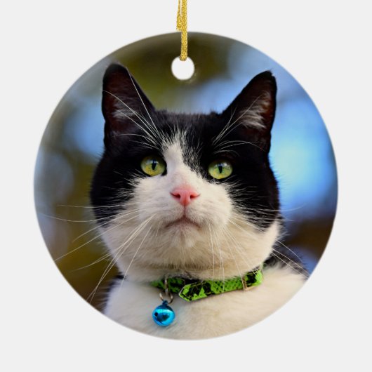 Zwarte en witte horthair kat keramisch ornament (Achterkant)