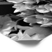 Zwarte en witte hydrangea Floral Fotografie Afdruk Poster (Hoek)