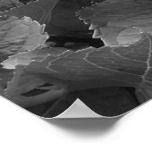 Zwarte en witte hydrangeas poster (Hoek)