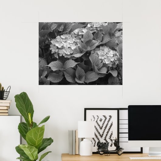 Zwarte en witte hydrangeas poster (Thuiskantoor)