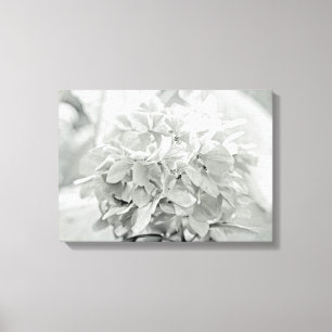 Zwarte en witte hydrangeenventilator - meestal wit canvas afdruk