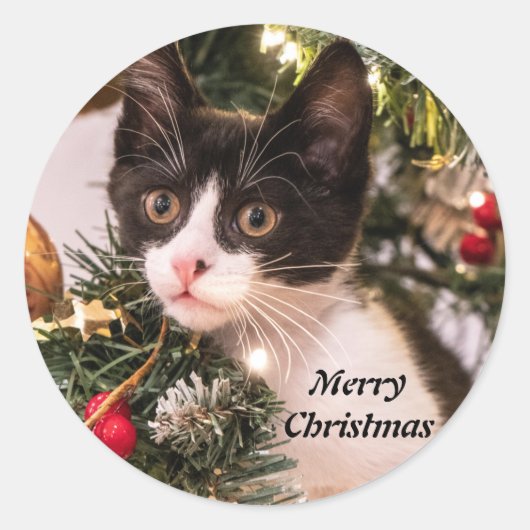 Zwarte en witte karretjes in de kerstboom ronde sticker (Voorkant)