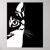 Zwarte en witte kat 657 poster (Voorkant)