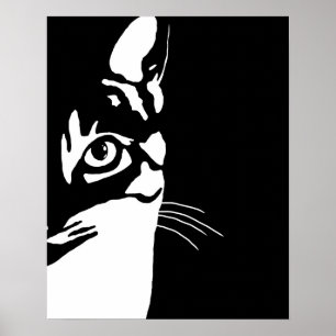 Zwarte en witte kat 657 poster