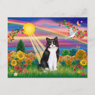 Zwarte en witte kat - Autumn Sun Briefkaart