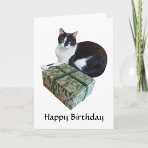 Zwarte en Witte Kat Birthday-kaart Kaart