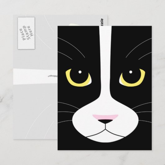Zwarte en witte kat briefkaart (Voorkant / Achterkant)