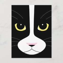 Zwarte en witte kat briefkaart