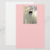 Zwarte en witte kat briefpapier (Voorkant / Achterkant)